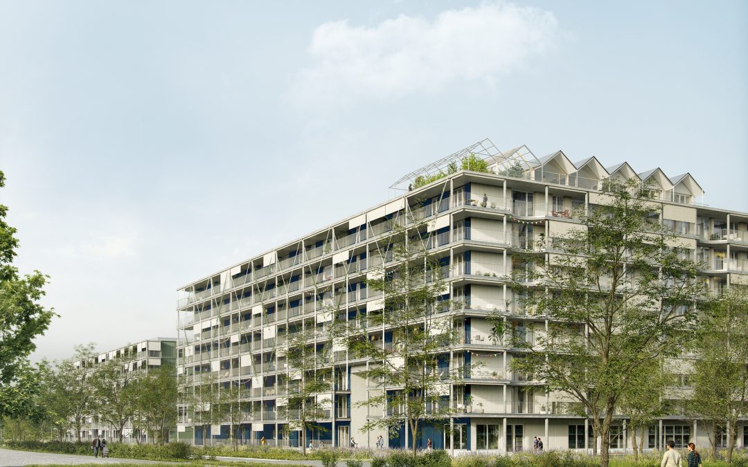 LE ROLLIET, CYNARA